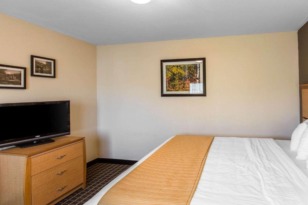 Two-Bedroom Deluxe King Suite with  Living Room - Non Smoking interior